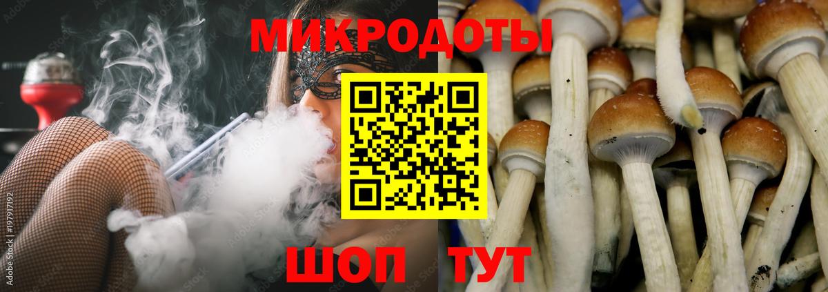 Галлюциногенные грибы мухоморы Заводоуковск