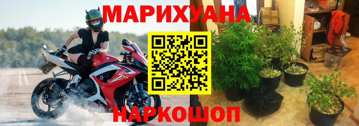 Канабис конопля Заводоуковск